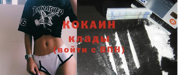 МДПВ Алзамай